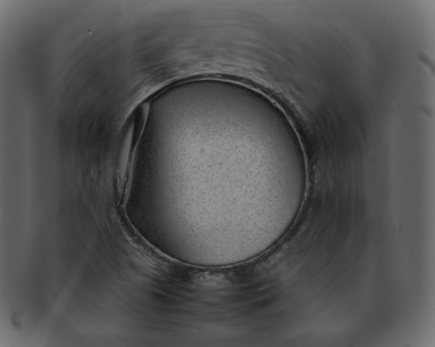 X0000092281505200710051134