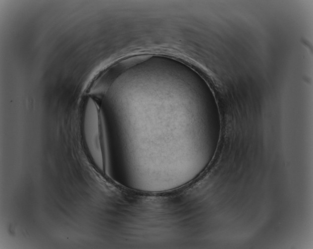 X0000092281506200710051134