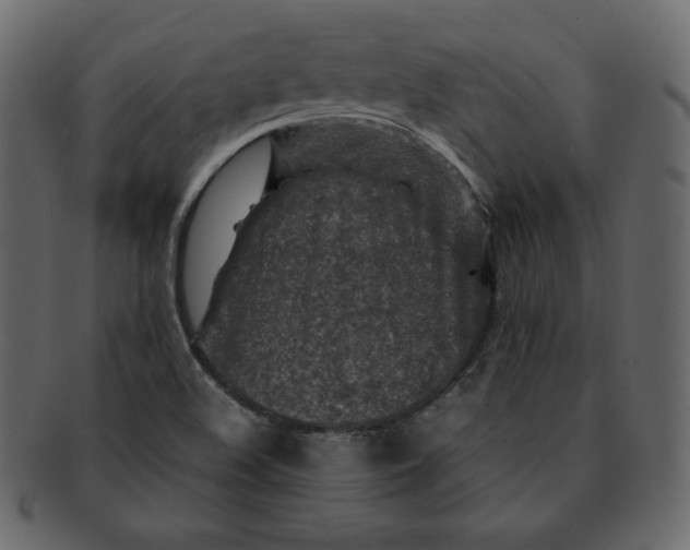 X0000092281508200710051134