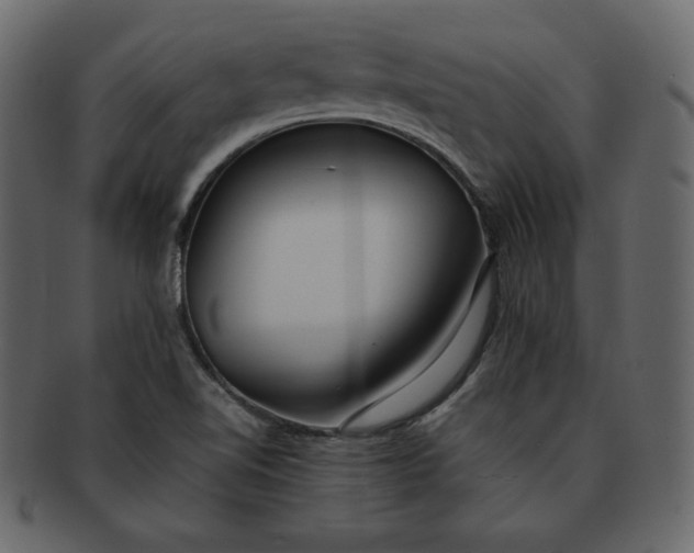 X0000092281510200710051134