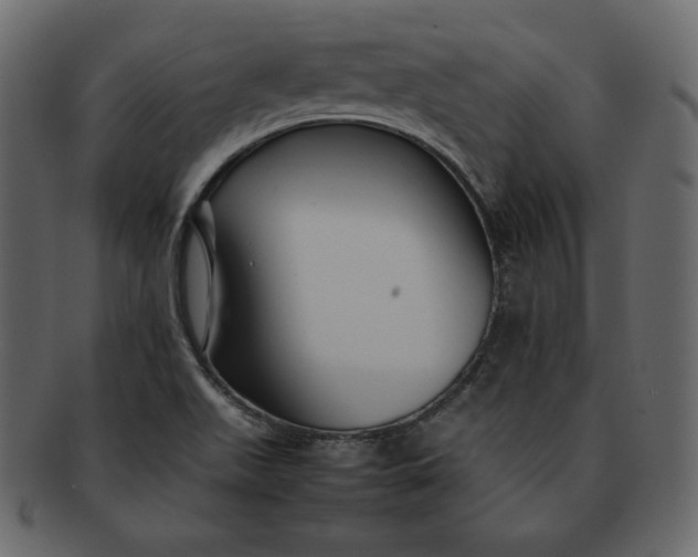 X0000092281511200710051134