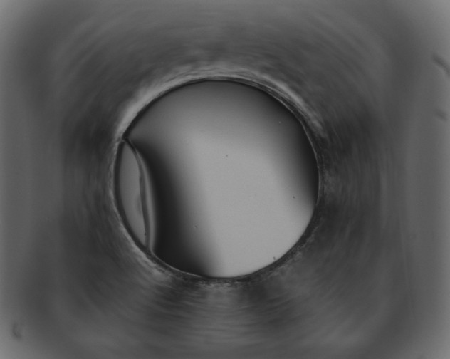 X0000092281512200710051134