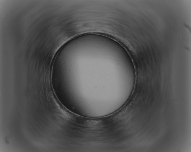 X0000092281513200710051134