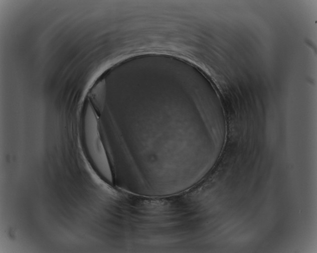 X0000092281515200710051134