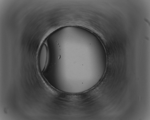 X0000092281517200710051134