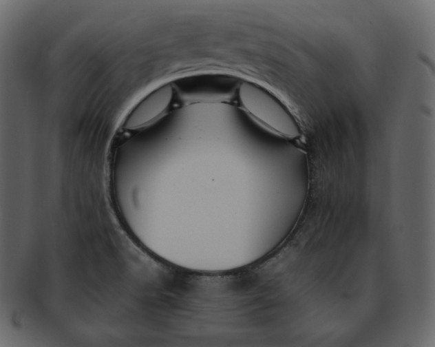 X0000092281518200710051134