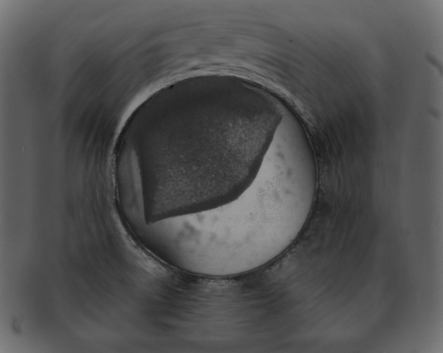 X0000092281522200710051134