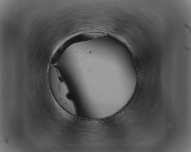 X0000092281524200710051134