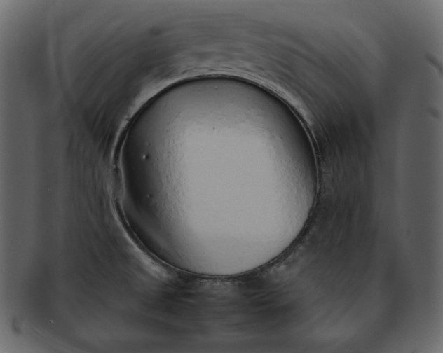 X0000092281525200710051134