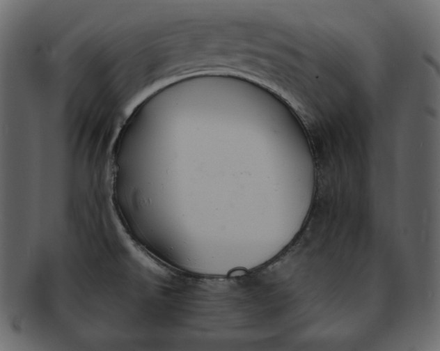 X0000092281526200710051134