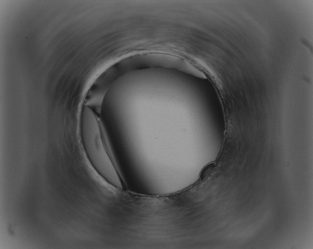 X0000092281528200710051134