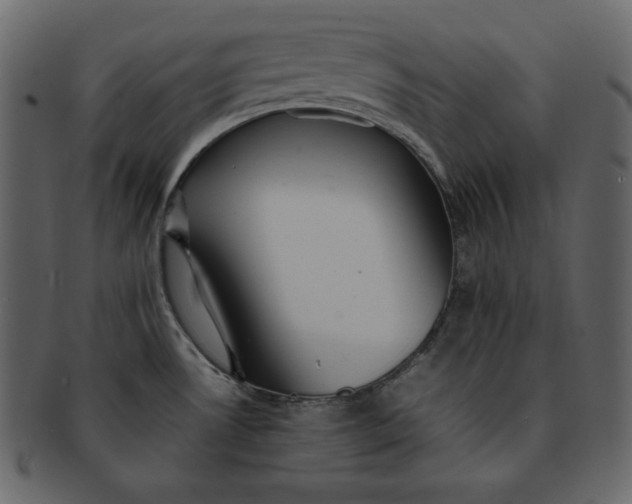 X0000092281530200710051134