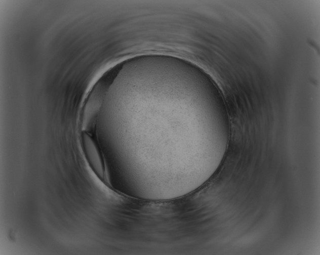 X0000092281531200710051134