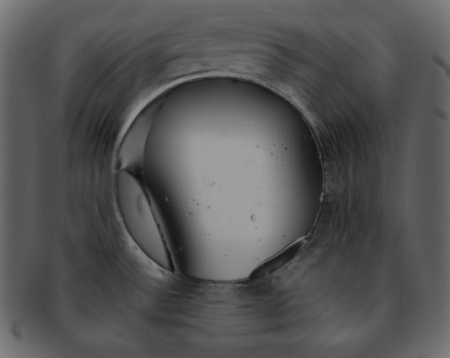 X0000092281532200710051134