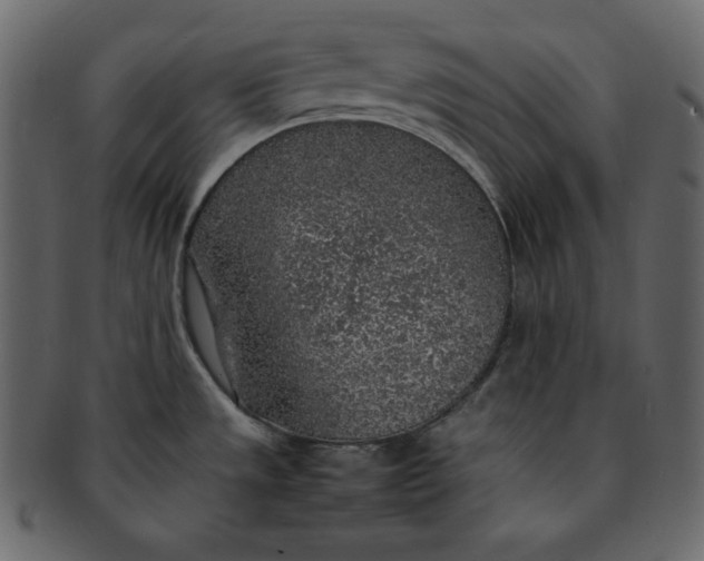 X0000092281533200710051134