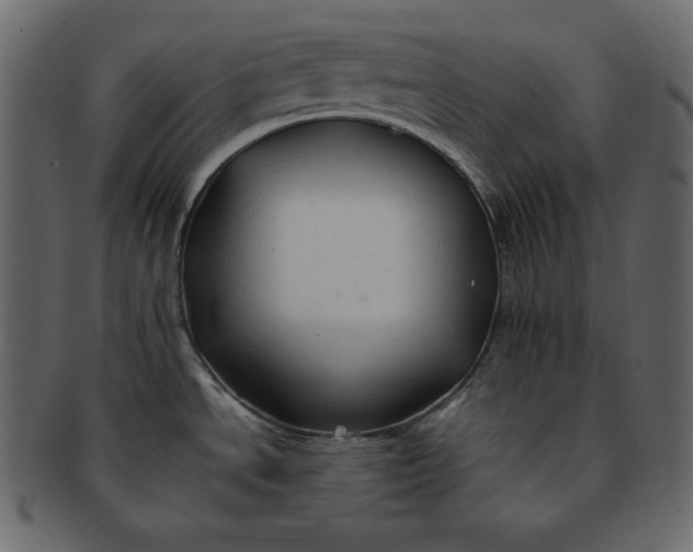 X0000092281534200710051134