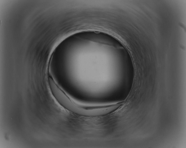 X0000092281536200710051134