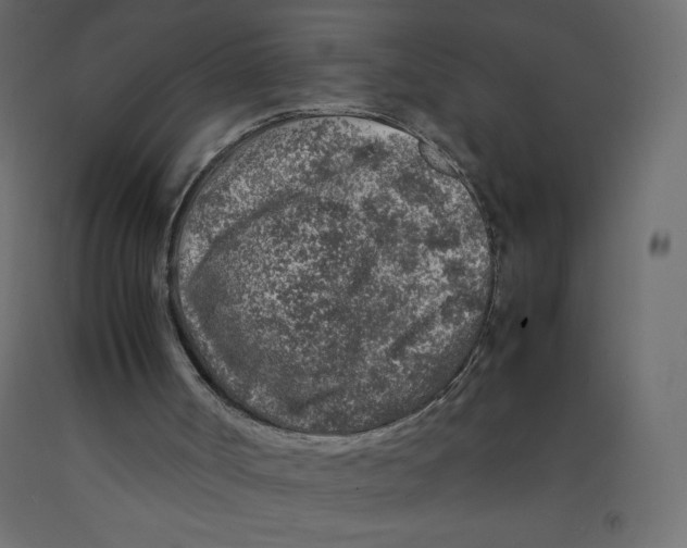 X0000092280002200710121413