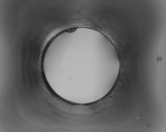 X0000092280008200710121413