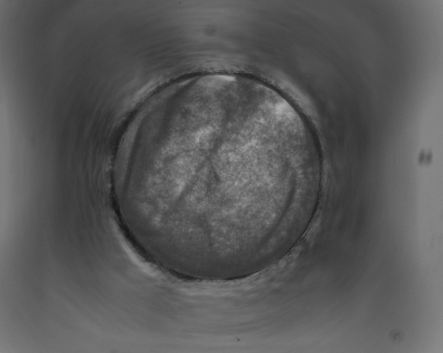 X0000092280009200710121413
