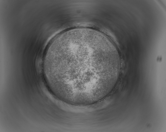 X0000092280012200710121413