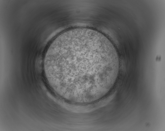 X0000092280016200710121413