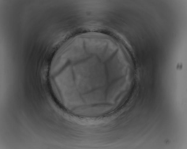 X0000092280018200710121413