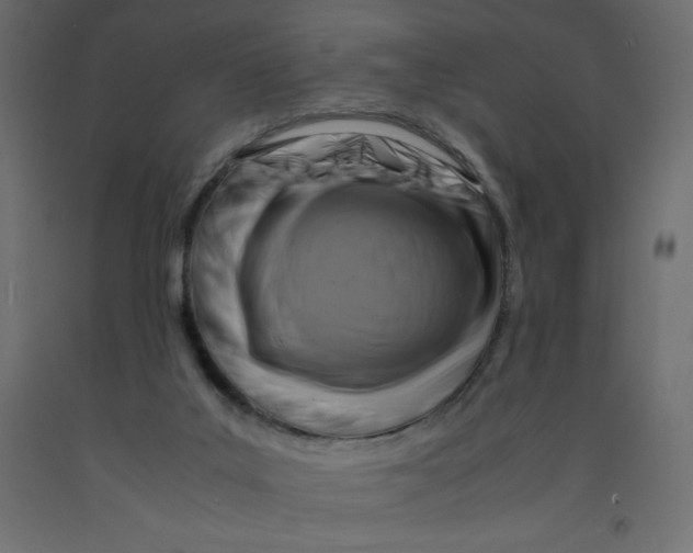 X0000092280019200710121413
