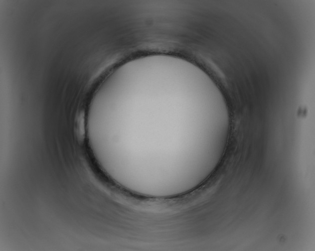 X0000092280020200710121412