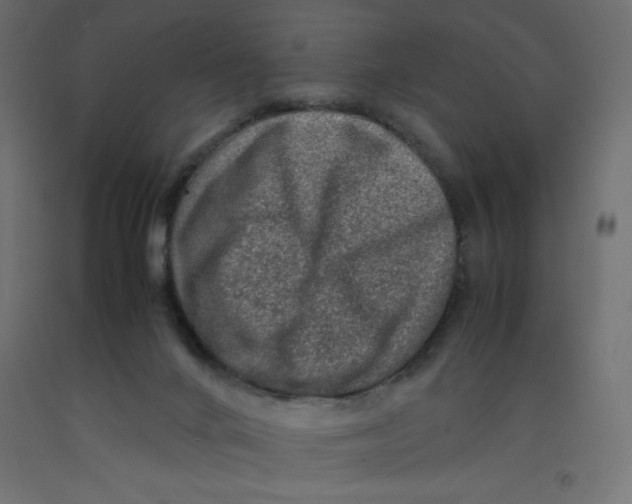 X0000092280024200710121412