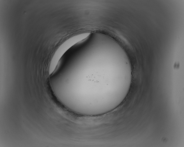 X0000092280025200710121412