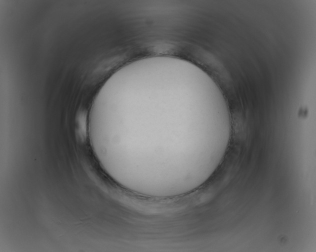 X0000092280028200710121412