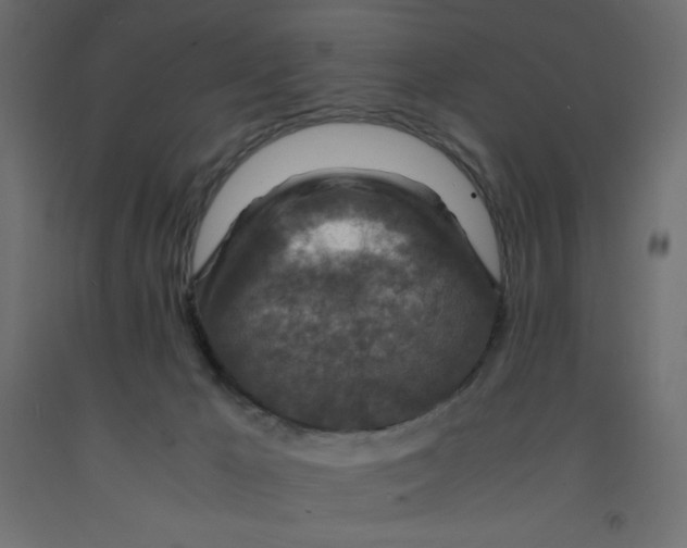 X0000092280029200710121412
