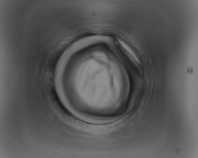 X0000092280031200710121412