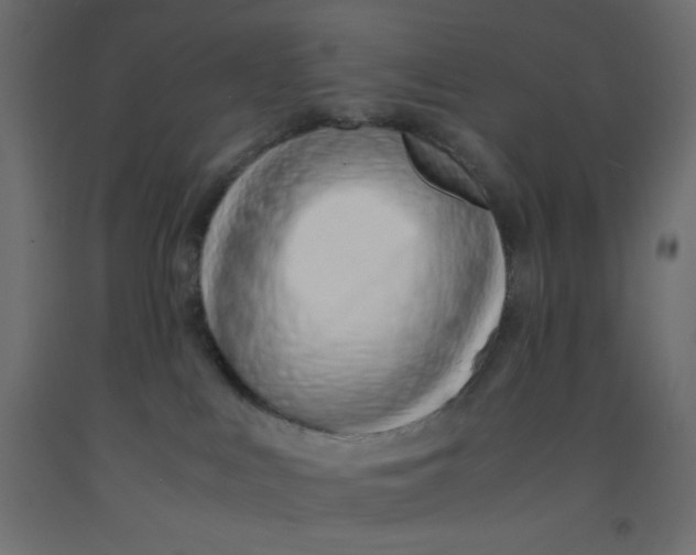 X0000092280043200710121412