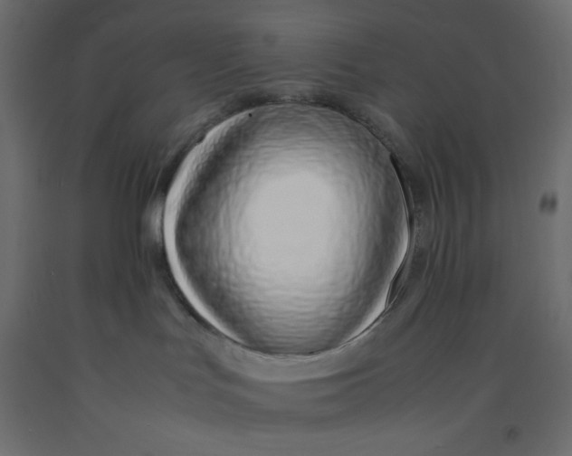 X0000092280047200710121412