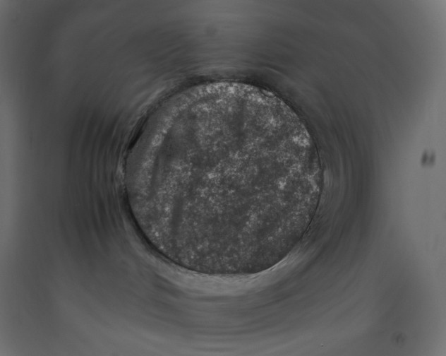 X0000092280048200710121412