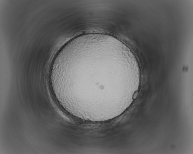X0000092280049200710121412
