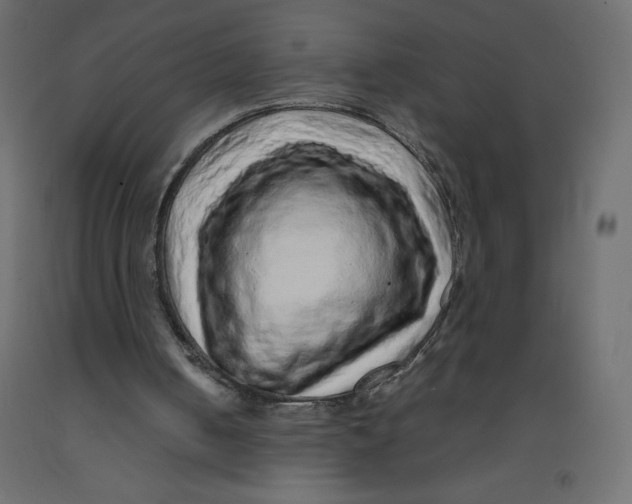 X0000092280050200710121412