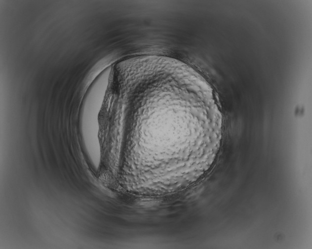 X0000092280051200710121412