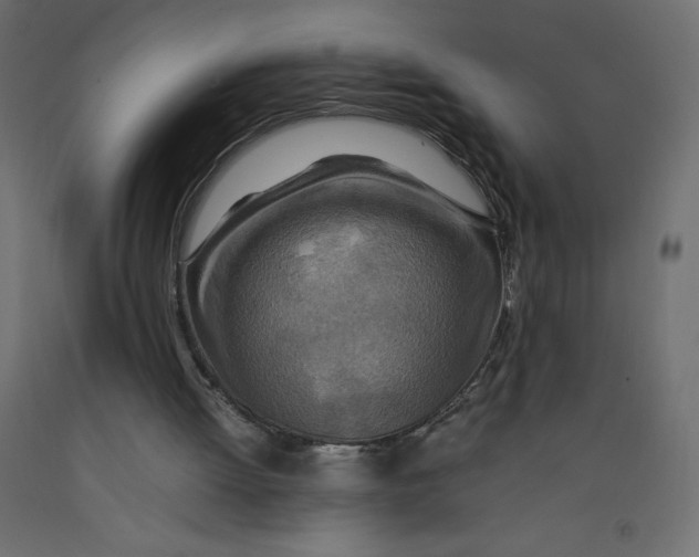X0000092280052200710121412