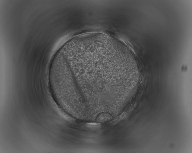 X0000092280053200710121412