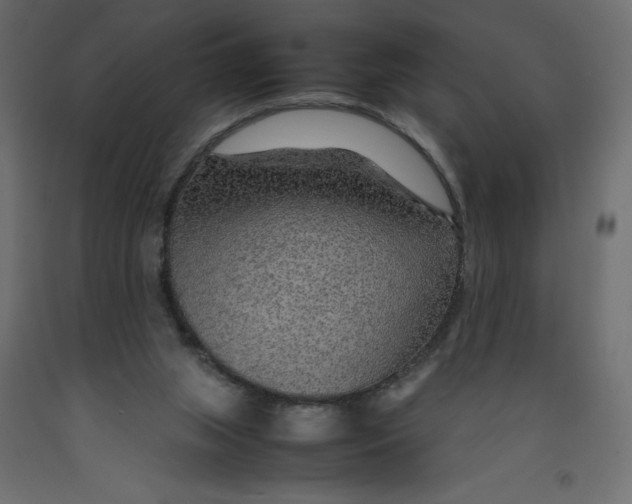 X0000092280063200710121412