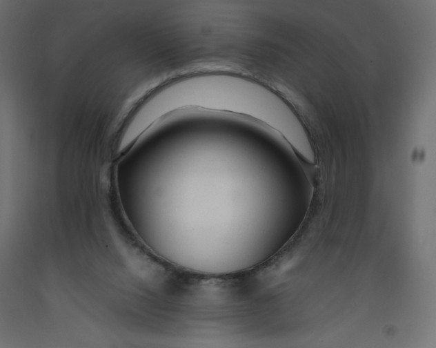 X0000092280064200710121412