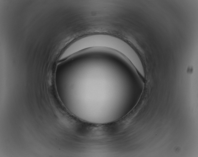 X0000092280068200710121412