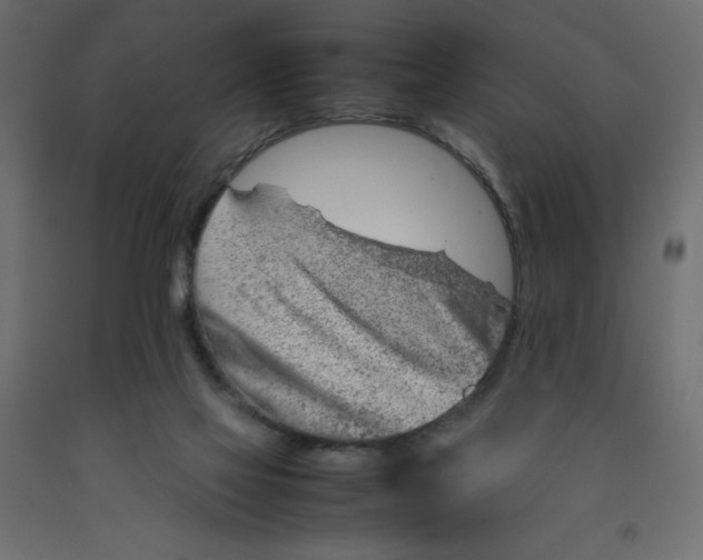 X0000092280069200710121412