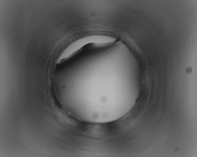 X0000092280074200710121412