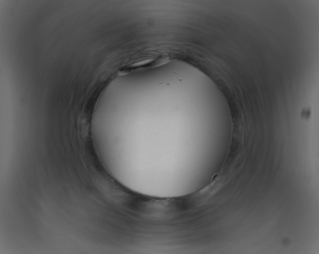 X0000092280086200710121412