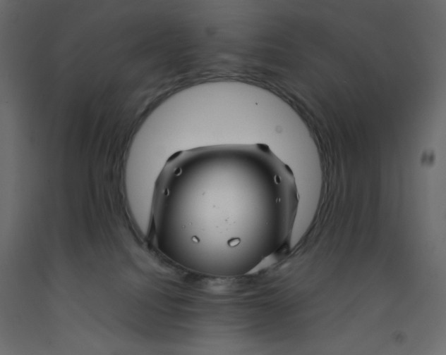 X0000092280088200710121412