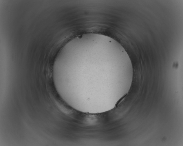 X0000092280091200710121412